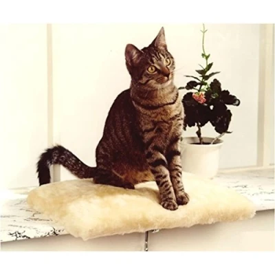 Abbildung von Katzen Fensterliege beige