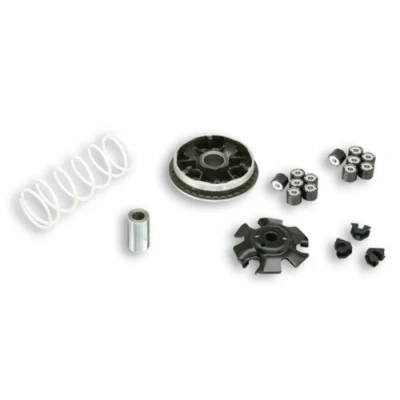 Abbildung von MALOSSI Variator MHR Multivar 2000, für Benelli 150 CAFFèNero/Honda 125 @ /Dylan/Pantheon/PS/SH/SH Scoopy/SH I/S Wing/KEEWAY Outlook, 4T LC 20x17mm, 6 Rollen, 9,0/10,0g