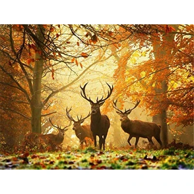 Abbildung von Yingxin34 Puzzle 2000 Teile Hirsche im Wald Für Erwachsene Und Kinder Ab 14 Jahren 70X100cm（27.55 * 39.37inch）