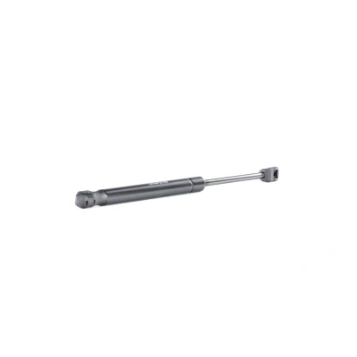 Abbildung von RIDEX 219G0737 Heckklappendämpfer 490 AUDI: 90 B2, 80 B2