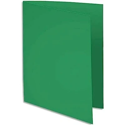 Abbildung von CLAIREFONTAINE 800004E Box 100 Unterordner, grün