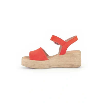 Abbildung von Gabor Clogs, Damen, Größe: 37, Oranje Schuhe