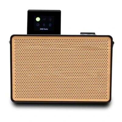 Abbildung von Pure Evoke Play portables Musiksystem für innen und außen (DAB+/FM Radio, Internetradio, Spotify Connect, Bluetooth) Special Edition Schwarz/Holz