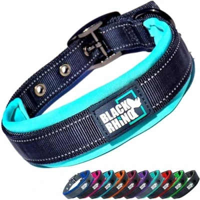 Abbildung von Black Rhino Das Comfort Halsband Super Weiches Neopren Gepostertes Hundehalsband für alle Hunderassen Hochbeanspruchbar Verstellbar Reflektierend Wetterfest (Mittel, Aqua/Grau)