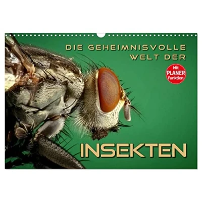 Abbildung von Die geheimnisvolle Welt der Insekten (Wandkalender 2025 DIN A3 quer), CALVENDO Monatskalender