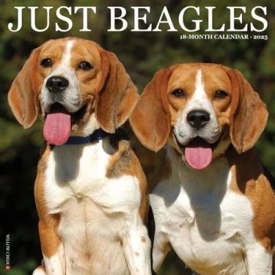 Abbildung von Just Beagles 2025 12 X Wall Calendar