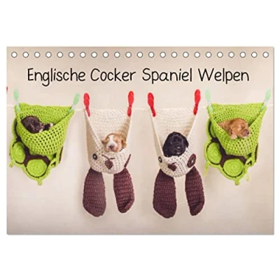 Abbildung von Englische Cocker Spaniel Welpen (Tischkalender 2025 DIN A5 quer), CALVENDO Monatskalender