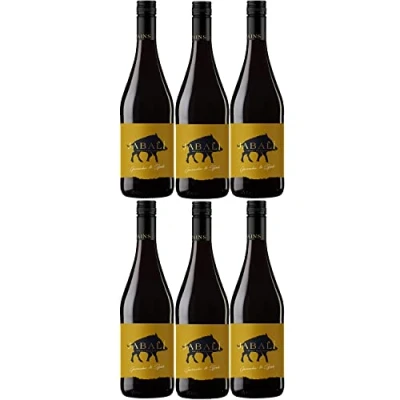 Abbildung von Bodegas Paniza Jabali Garnacha Syrah Rotwein Wein halbtrocken Spanien I Visando Paket (6 Flaschen)