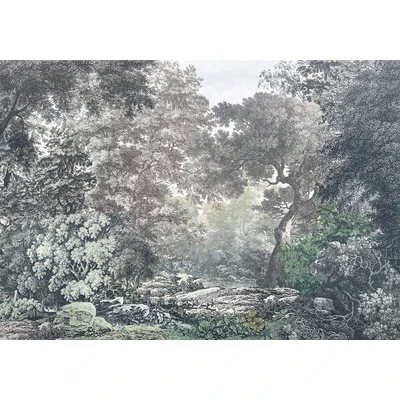 Abbildung von Komar Fototapete &quot;Fototapete&quot;, bedruckt, Vlies Fairytale Forest Größe 400 x 280 cm