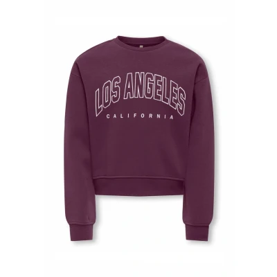 Abbildung von Only &amp; Kids Kogsweat Life Ls Crew Ovz Stat SWT Noos