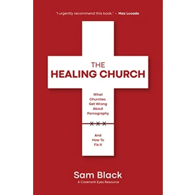 Abbildung von The Healing Church: What Churches Get Wrong about Pornography and How to Fix It