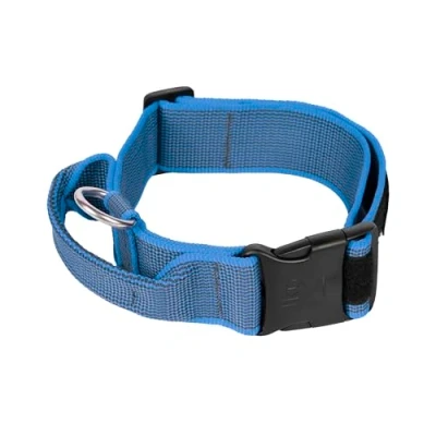 Abbildung von Julius K9 C&amp;amp G Halsband, mit Handgriff, blau/grau, 50mm/47 67c