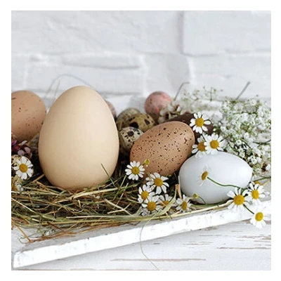 Abbildung von Pastel eggs