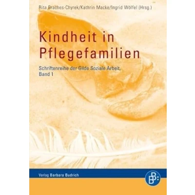 Abbildung von Kindheit in Pflegefamilien (Schriftenreihe der Gilde Soziale Arbeit e.V.)