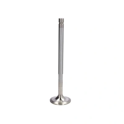 Abbildung von FRECCIA R6434/BMCR Einlaßventil 44 Ventilschaft verchromt
