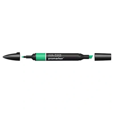 Abbildung von Winsor &amp; Newton &quot; ProMarker 0203235 Professioneller Layoutmarker 2 Spitzen, fein breit für Zeichnungen, Design Layouts Smaragd