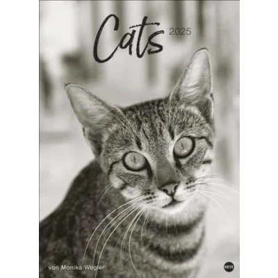 Abbildung von Cats Edition Kalender 2025: Elegante Samtpfoten in schwarz weiß einem XXL Kalender. Tierkalender 2025 im Großformat. Hochwertiger großer Fotokalender für Katzenfans.