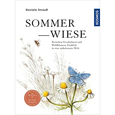 Abbildung von Sommerwiese: Zwischen Grashalmen und Wildblumen: Einblick in eine unbekannte Welt