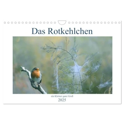 Abbildung von Das Rotkehlchen, ein Kleiner ganz Groß (Wandkalender 2025 DIN A4 quer), CALVENDO Monatskalender