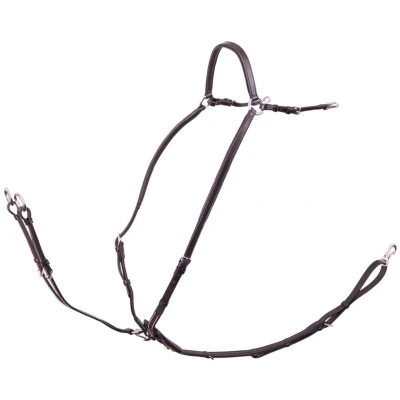 Abbildung von BR Fahrzeug Rayleigh Elastic Cob / Silber Schwarz