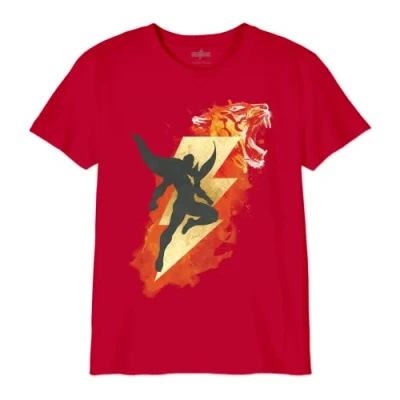Abbildung von dc comics Jungen Boshazmts006 T Shirt, rot, 12 Jahre