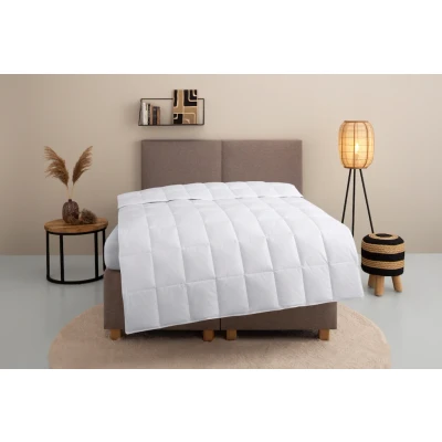 Abbildung von Home affaire Daunenbettdecke &quot;Chevillon Bettdecke 135x200 cm, 155x220 cm und weiteren Größen&quot;, leicht, Bezug 100% Baumwolle, (1 St.), Sommer, Winter