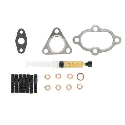 Abbildung von AJUSA JTC11281 Montagesatz, Lader syringe with oil mit Dichtungen Montageanleitung HYUNDAI: Getz