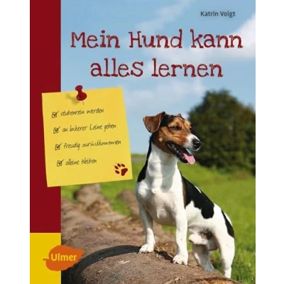 Abbildung von Mein Hund kann alles lernen: Stubenrein werden, an lockerer Leine gehen, freudig zurückkommen, alleine bleiben