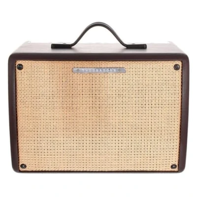 Abbildung von IBANEZ Akustikverstärker Troubadour 30 Watt (T30II)
