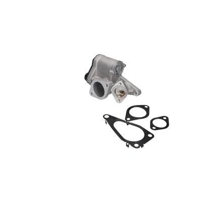 Abbildung von KAMOKA 19059 AGR Ventil RENAULT: SCENIC 2, LAGUNA 2 Grandtour