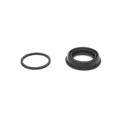 Abbildung von ATE 11.0441 4203.2 Dichtungssatz, Bremssattel BMW: 5 Limousine, Touring, MERCEDES BENZ: E Klasse T modell, Limousine