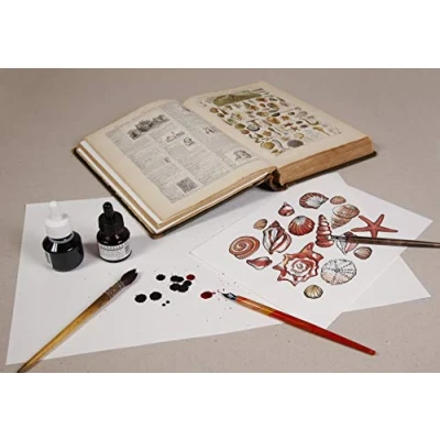 Abbildung von Clairefontaine 975400C Ries mit 100 Blatt Löschpapier, DIN A4, 21x29,7 cm 250g, 1 Ries, weiß