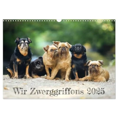 Abbildung von Wir Zwerggriffons 2025 (Wandkalender DIN A3 quer), CALVENDO Monatskalender
