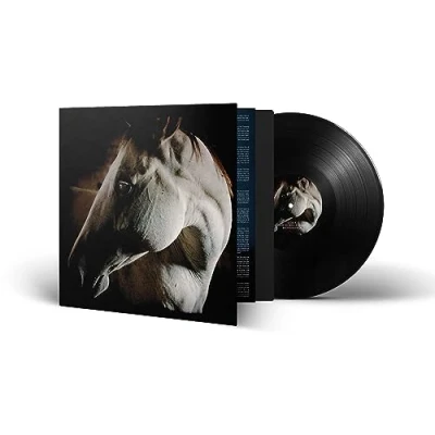 Abbildung von How to Kill a Horse (Black Vinyl) [Vinyl LP]