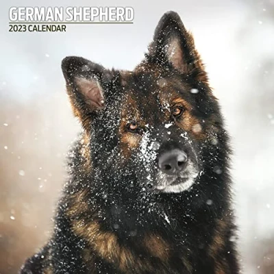 Abbildung von Magnet &amp; Steel Shepherd Traditioneller Kalender 2023, mehrfarbig