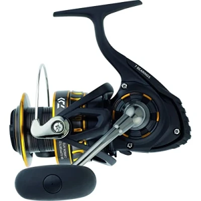 Abbildung von Daiwa BG 2500 Angelrolle