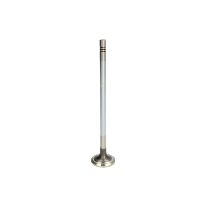 Abbildung von Auslassventil MAHLE ORIGINAL 213 VA 32039 000