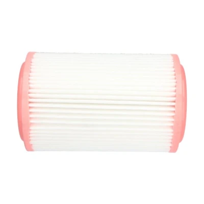 Abbildung von KAVO PARTS KA 1611 Luftfilter 269mm 167mm Filtereinsatz