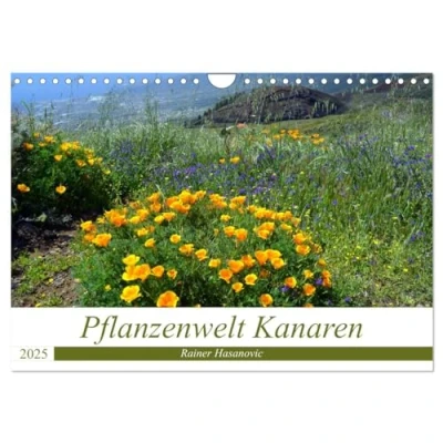 Abbildung von Pflanzenwelt Kanaren (Wandkalender 2025 DIN A4 quer), CALVENDO Monatskalender
