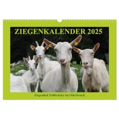 Abbildung von Ziegenkalender 2025 (Wandkalender DIN A3 quer), CALVENDO Monatskalender