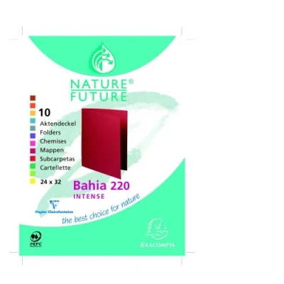 Abbildung von Exacompta 217001E 10er Pack Aktendeckel ROCKS. Aus extra starkem Karton für DIN A4 farbig sortiert Hefter ideal das Büro und Schule die mobile Organisation