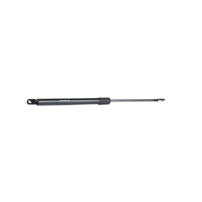 Abbildung von RIDEX 219G0661 Heckklappendämpfer 170 405 hinten FIAT: Barchetta
