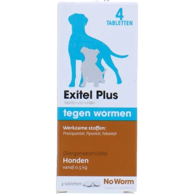 Abbildung von No Worm Exitel Hund