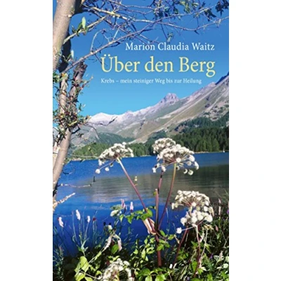 Abbildung von Über den Berg: Krebs mein steiniger Weg bis zur Heilung