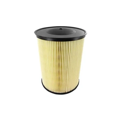 Abbildung von Luftfilter VAICO V25 0166