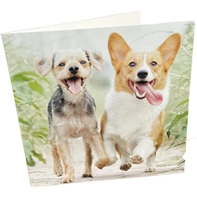Abbildung von Maturi Happy Running Dogs Quadratische Blanko Geburtstagskarte
