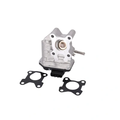 Abbildung von FEBI BILSTEIN 177332 AGR Ventil mit Dichtung NISSAN: Pathfinder 3, NP300 Navara Pickup, Pritsche / Fahrgestell