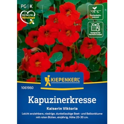 Abbildung von Kiepenkerl Kapuzinerkressesamen Kaiserin Viktoria 1061960 dunkellaubige Beer und Balkonblume mit leuchtend roten Blüten Wildblumensamen, Blumenwiese