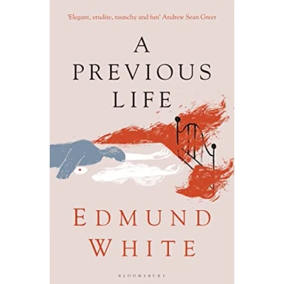 Abbildung von A Previous Life: Another Posthumous Novel