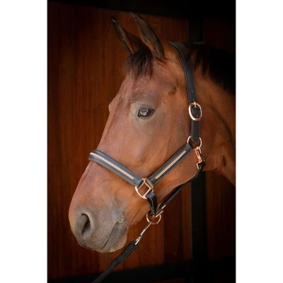 Abbildung von Harry&#039;s Horse Lederhalfter Metallic